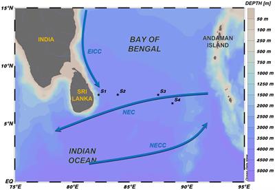 Vertical variation of bacterial production and potential role in oxygen loss in the southern Bay of Bengal